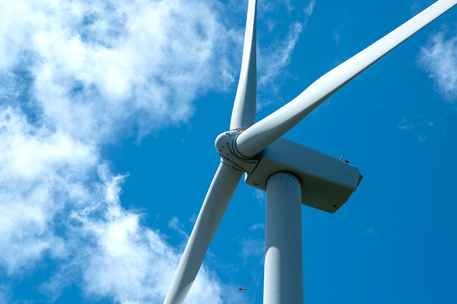 社会システム研究部門