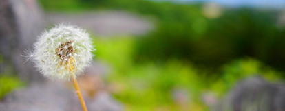 スライド画像02